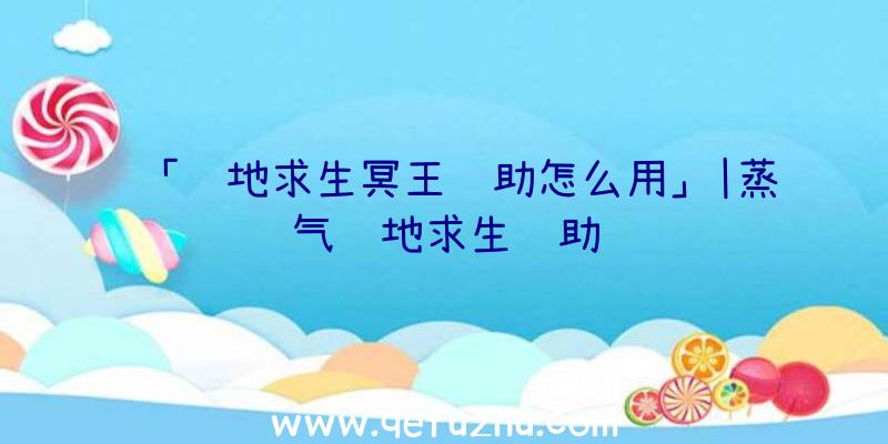 「绝地求生冥王辅助怎么用」|蒸气绝地求生辅助